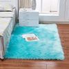 1pc Fluffy Imitation Wool Area Rug, Suede Fleece Bottom Long Imitation Wool Rug, Acrylic 80% Polyester 20%, 2.36inch Long Wool